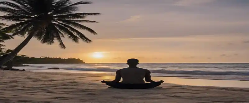 A palm tree and a figure meditating in a serene beach at sunset. The benefits of meditating and relaxing, letting go and quieting our mind @ i-am-meditations.com