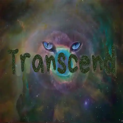 Transcend Meditation Music features 528 Hz, 369 Hz, and other frequencies that encourage relaxation and stress relief. Soundscapes and pads create a peaceful and calming atmosphere. Chants and singing bowls are also included @ i-am-meditations.com